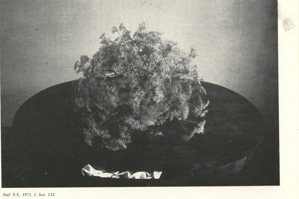 Jan Svoboda – fotografie